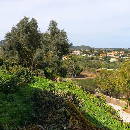 Live Finca el Gamonal Bajo Apartamento Santa Brígida Exterior foto