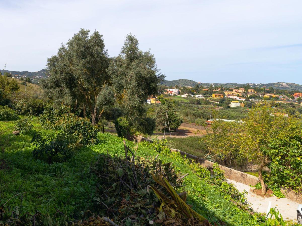 Live Finca el Gamonal Bajo Apartamento Santa Brígida Exterior foto